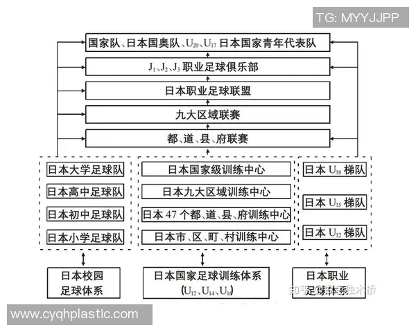 日本足球明星的崛起与挑战专家深度解析其未来发展潜力