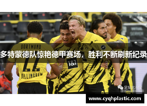 多特蒙德队惊艳德甲赛场，胜利不断刷新纪录