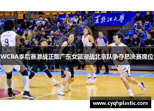 WCBA季后赛激战正酣广东女篮迎战北京队争夺总决赛席位